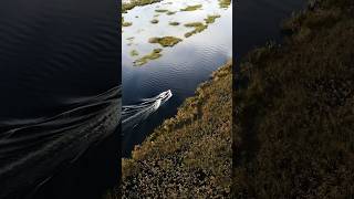 30 Días 30 Lugares 1 Esteros del Iberá Provincia de Corrientes 🐊 argentina esterosdeliberá [upl. by Kameko]