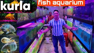 kurla fish market ￼vlog Popular Aquarium Fish Dealers in KurlaEast Mumbai [upl. by Nidia78]