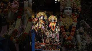 HAPPY JANMASHTAMI video newsong krishna janmashtamiytshorts god [upl. by Oniliuqnart]