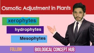 Osmotic adjustment in plants comparison of hydrophytes mesophytes and halophytes First year [upl. by Elatan]