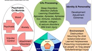 Autism amp Asperger Differences Using Donna Williams quotFruit Saladquot Analogy 1995 HD [upl. by Bale]