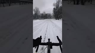 Winter bike moscow [upl. by Yalcrab]