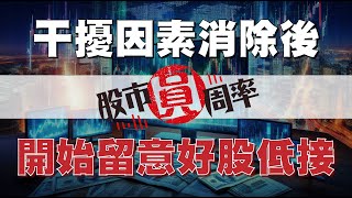 干擾因素消除後，開始留意好股低接！｜1131121 股市圓周率｜台積電 玻璃基板 半導體 G2C 均豪 [upl. by Anelim660]