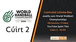 Day 6  Court 2  oneillscom World Wallball Championship  Liathróid Láimhe Beo [upl. by Dazhahs]