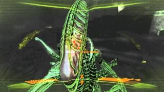 Decker Shado Plays Aliens VS Predator 2010 Predator Part 3 [upl. by Ettelorahc]