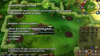 Ultimate Herblore Habitat Guide  Fastest Hunter XP in game  JuJu Farming potions  Bonbloc [upl. by Leisam220]