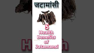 Jatamansi benefits hair skincare herbs healthconscious almond winter science ayurveda [upl. by Stoll262]