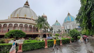 mayapur mayapurdham 100daysjourney 100dayschallenge day60 [upl. by Grenier]