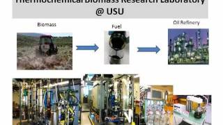 Thermochemical Conversion of Biomass to Fuels and Chemicals  Pyrolysis and Gasification [upl. by Esten]