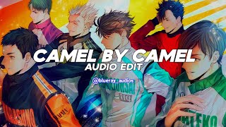 camel by camel  Sandy Marton 《edit audio》 Version 1 [upl. by Dijam]