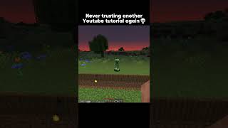 Never again 💀  minecraft minecraftshorts minecraftmemes [upl. by Adnor]