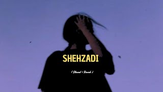 Sun meri Shehzadi  Slowed  Reverb   Saton jaman mein tere  Alex lofi [upl. by Balliol]