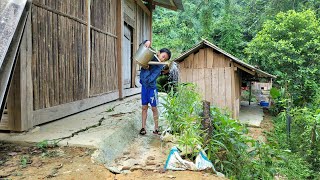 The boy waters and takes care of the garden planting more melon seeds cook [upl. by Delwyn348]