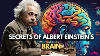 The Shocking Secrets of Albert Einstein’s Brain Revealed  Vrizes [upl. by Adnerak]