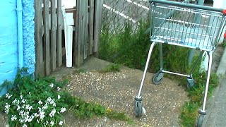 UK Foraging Free Food Outside Supermarkets [upl. by Offen]