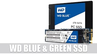 WD Blue SSD amp WD Green SSD  Western Digital unveils its first Solid State Drives [upl. by Lemal]