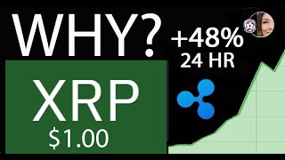 Why is XRP Pumping Ripple Craig DeWitt Two Words quotUtility Mattersquot FlashFX Grows Exponentially [upl. by Anauq402]