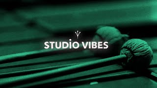 Studio Vibes Vibraphone Sample Instrument for Kontakt [upl. by Younglove]