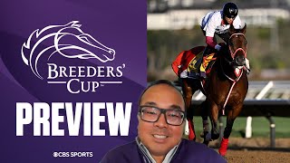 2024 Breeders Cup Classic Preview Picks and Best Bets [upl. by Nnairek]