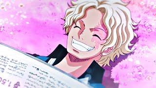 one piece sabo typo edit playboy sht [upl. by Ettenav880]