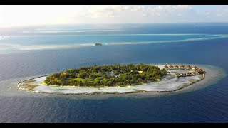 Ellaidhoo  Maldives by Cinnamon Drone and Diving footage  Island walk 2020 [upl. by Hulda494]