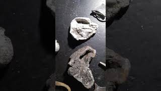 Treasure trove from a Delaware shipwreck [upl. by Suirtimed182]