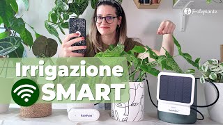 Annaffiare le PIANTE da smartphone con RainPoint  Tutorial  Irrigazione automatica [upl. by Dranel]