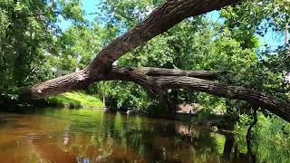 772024 Lower Minnehaha Creek Kayaking Part 1 [upl. by Yrad328]