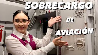 Sobrecargo de aviación  volaris Airbus A321NX [upl. by Ogilvy]