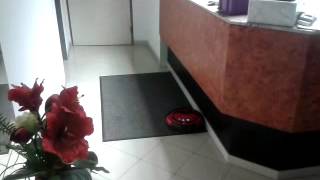 Vileda Cleaning Robot [upl. by Geirk]