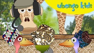 Learn Swahili with Ubongo Kids  Educational songs in English and Kiswahili [upl. by Ynahpit]