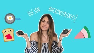 ¿Qué son los macronutrientes [upl. by Izy890]