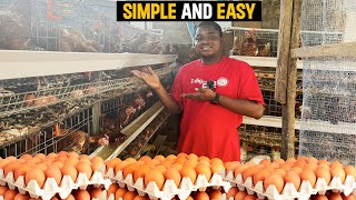 How To Start a Successful POULTRY FARM as a BEGINNER in Ghana at your BACKYARD in 2024 poultry [upl. by Sivahc]