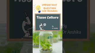 Tissue Culture Explained Techniques Benefits amp Applications in Plant Science [upl. by Bellamy]