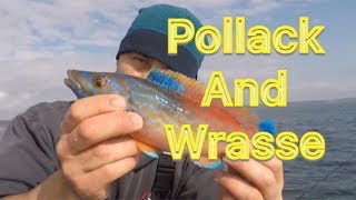 Sea Fishing UK  Pollack and Wrasse  Small Boat Fishing [upl. by Adnoluy]