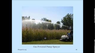 GLPC  Phragmites Control for Homeowners and Land Stewards [upl. by Ahsilla]