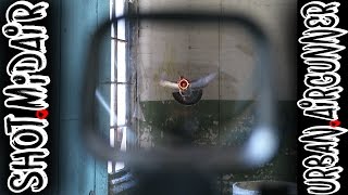 Pigeon Shot In MidFlight  Sig MCX Midair Shot  Airgun Evolution [upl. by Wilkinson86]