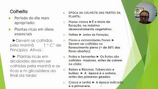 CURSO DE FITOTERAPIA  3° MODULO COLHEITA IDENTIFICAÇÃO [upl. by Garlaand]