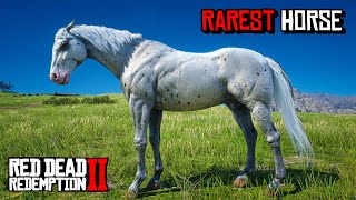 All 15 Rare Horse Locations  RDR 2 [upl. by Atinomar]