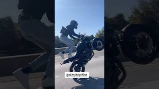 Mt07 or Fz07 yamahafz07 yamahamt07 yamahamotorcycles yamahafz wheelie bikelife viralvideo [upl. by Yasu]