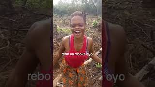 Rebo de MBANDAKA 🤣😂🇨🇩🔥rebo rdc buzz congomiziki [upl. by Melitta129]