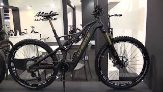 2023 Whistle BRush LTD Electric Bike [upl. by Gilbart]