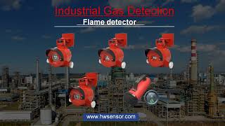 Industrial Gas Detection Supplier [upl. by Alios83]