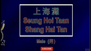 上海滩 【卡拉OK 男】Cantonese《KTV KARAOKE》  Shang Hai Tan Male [upl. by Aikemet683]