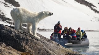 POLAR BEAR CRUISE SpitsbergenSvalbard [upl. by Willing699]