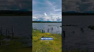 Revive Lago de Coatetelco verde pesca [upl. by Kamila]