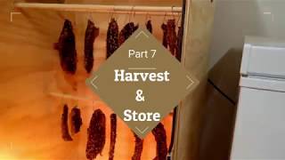 My Basic Biltong Recipe [upl. by Constancia633]