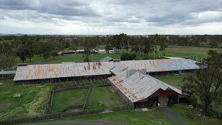 One of the earliest surviving woolsheds in Australia  Jondaryan Woolshed [upl. by Ayerf54]