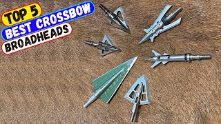 Best Crossbow Broadheads for 2024  Top 5 Crossbow Broadhead Reviews [upl. by Petua971]