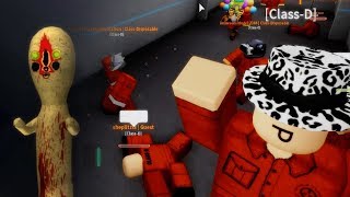 The Roblox DClass Experience [upl. by Anehsuc355]